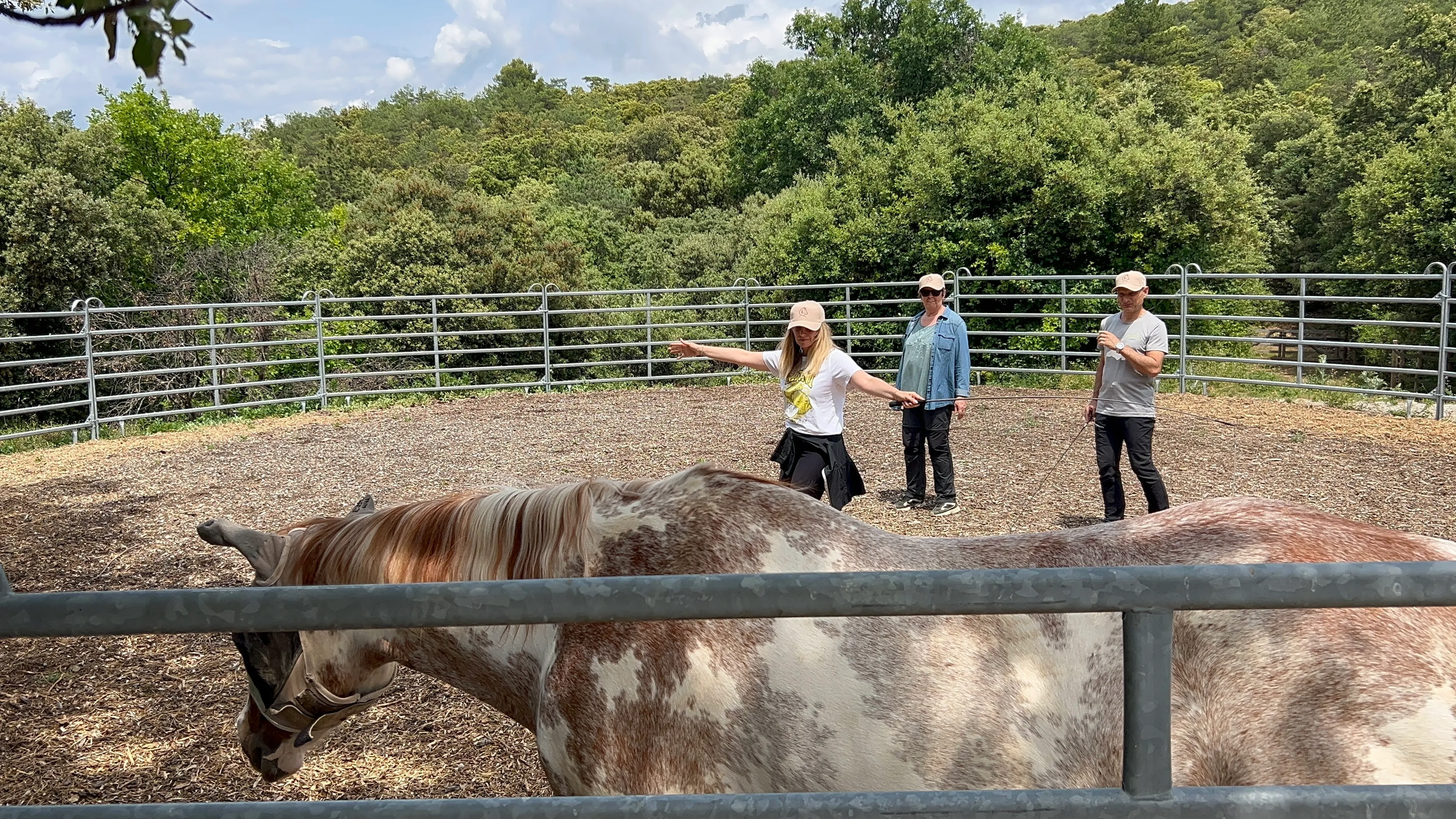An equicoaching session 1