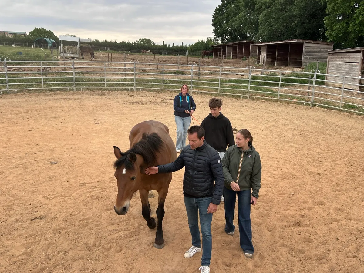 An equicoaching session 2