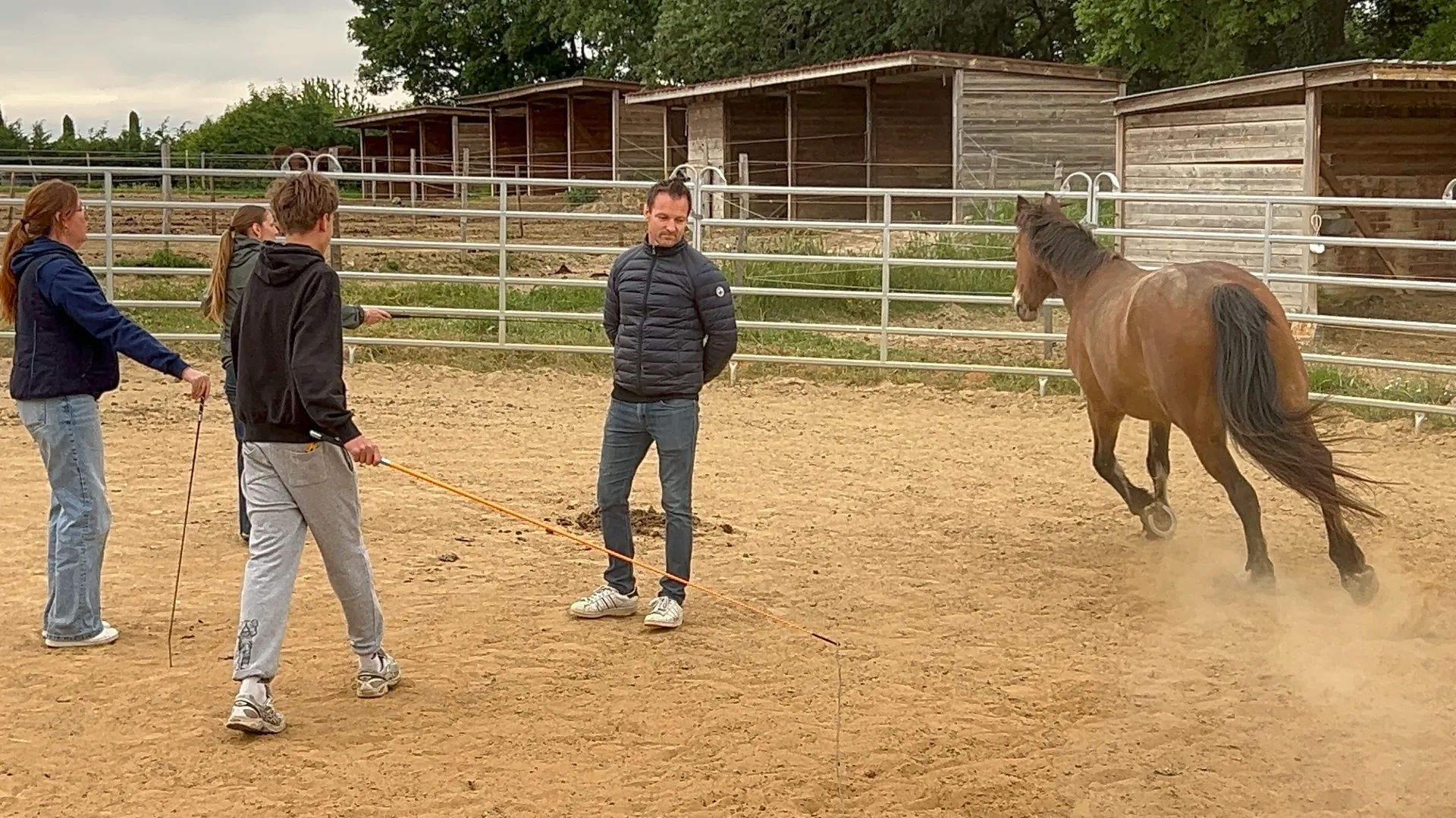 An equicoaching session 3