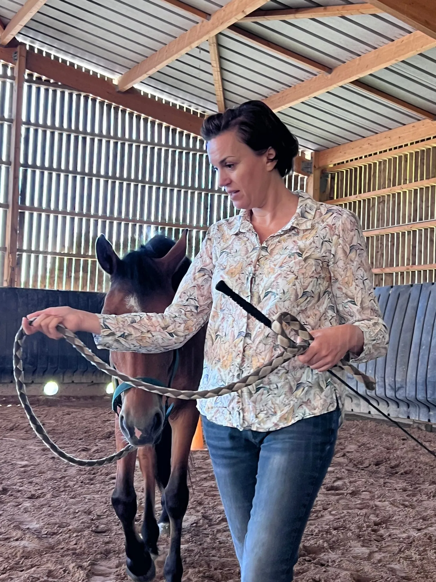 An equicoaching session 1