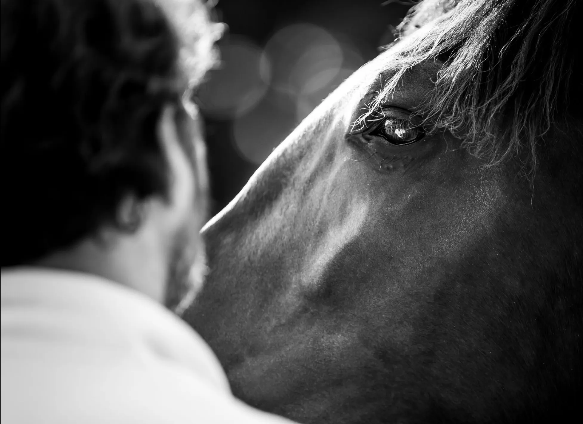An equicoaching session 11