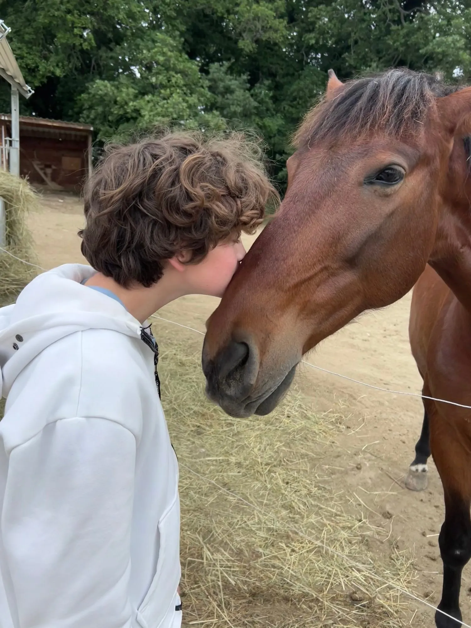 An equicoaching session 2