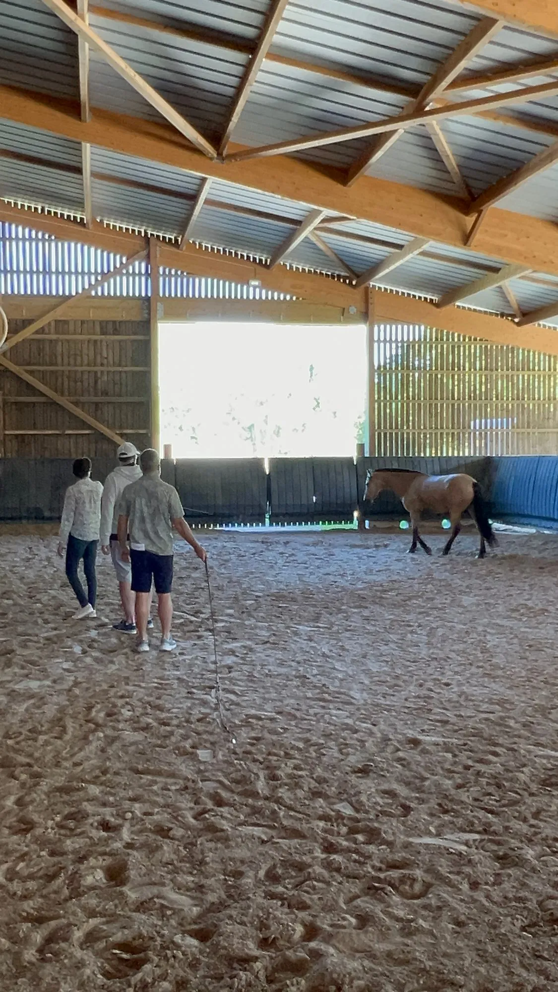 An equicoaching session 25