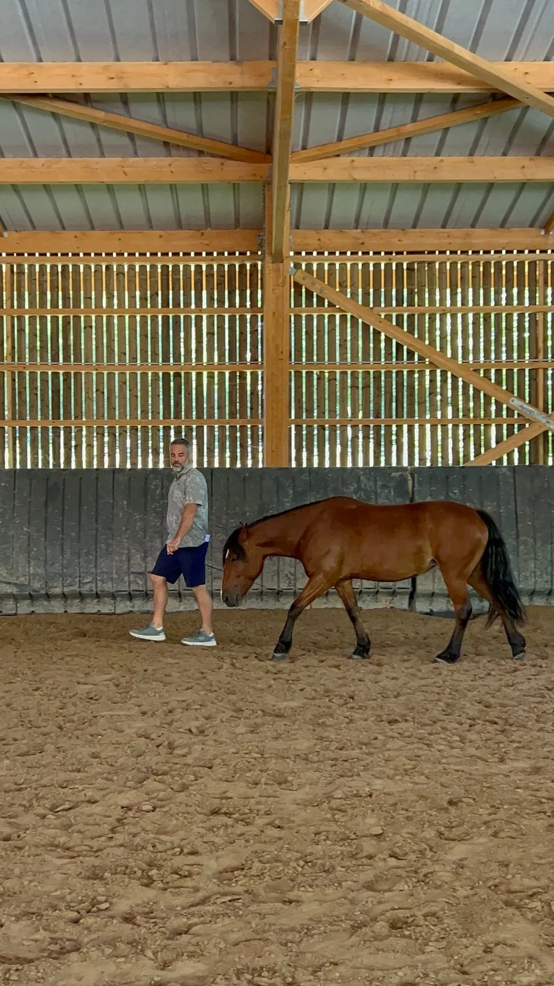 An equicoaching session 26