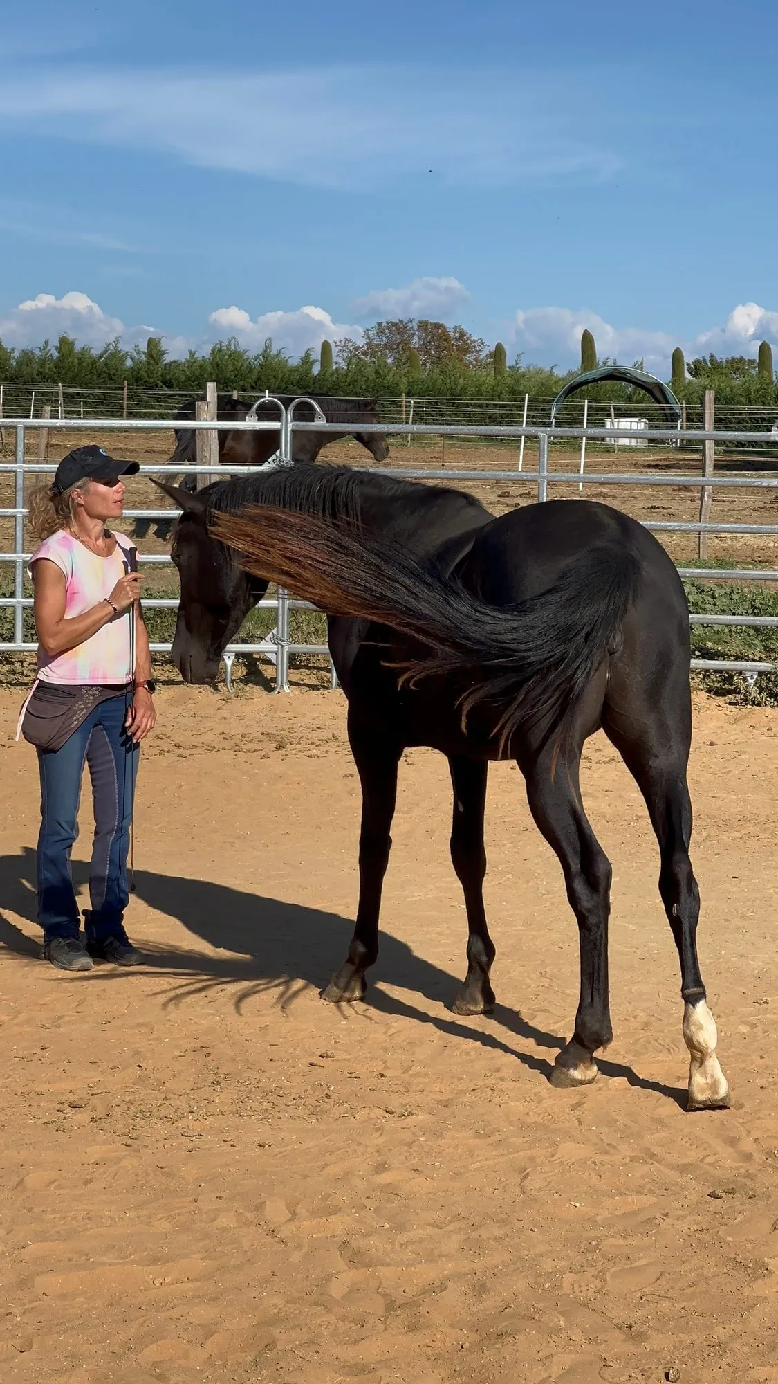 An equicoaching session 27