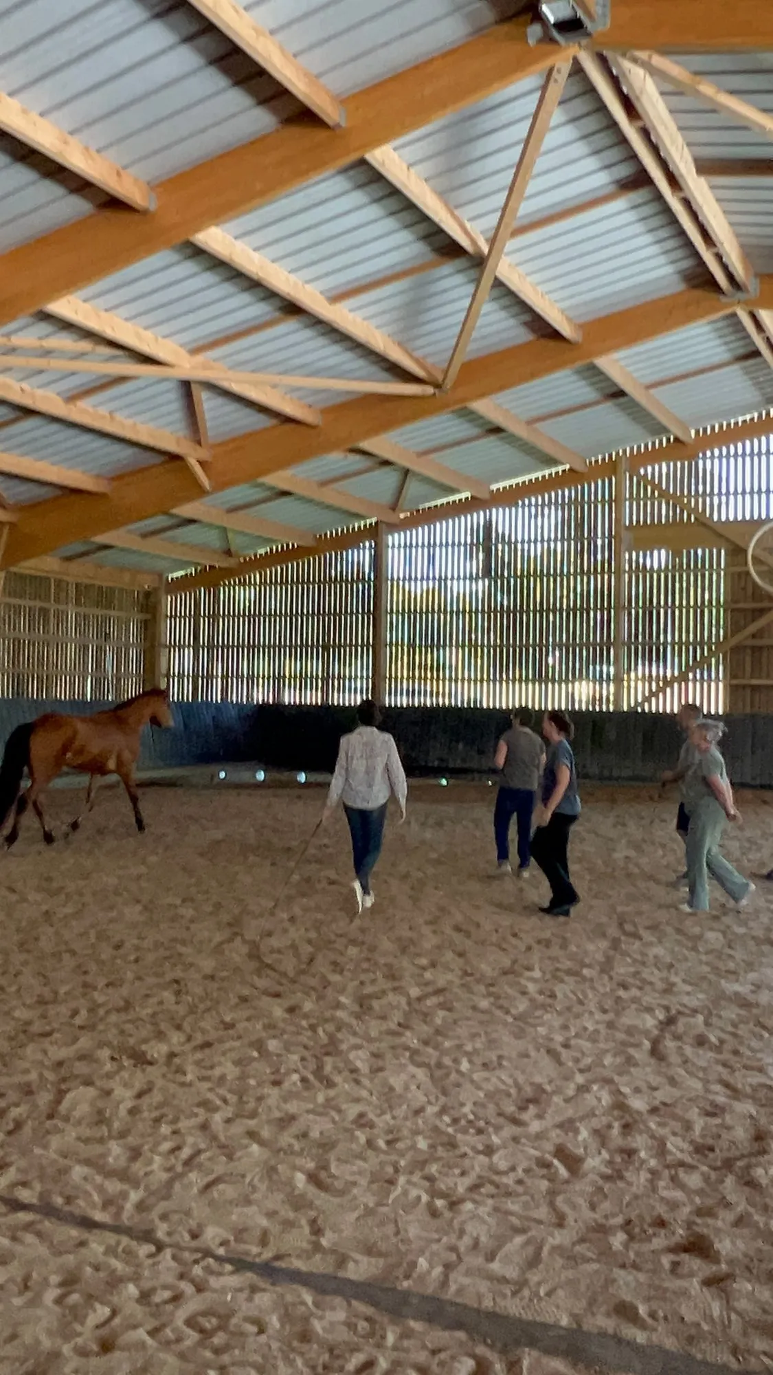An equicoaching session 28
