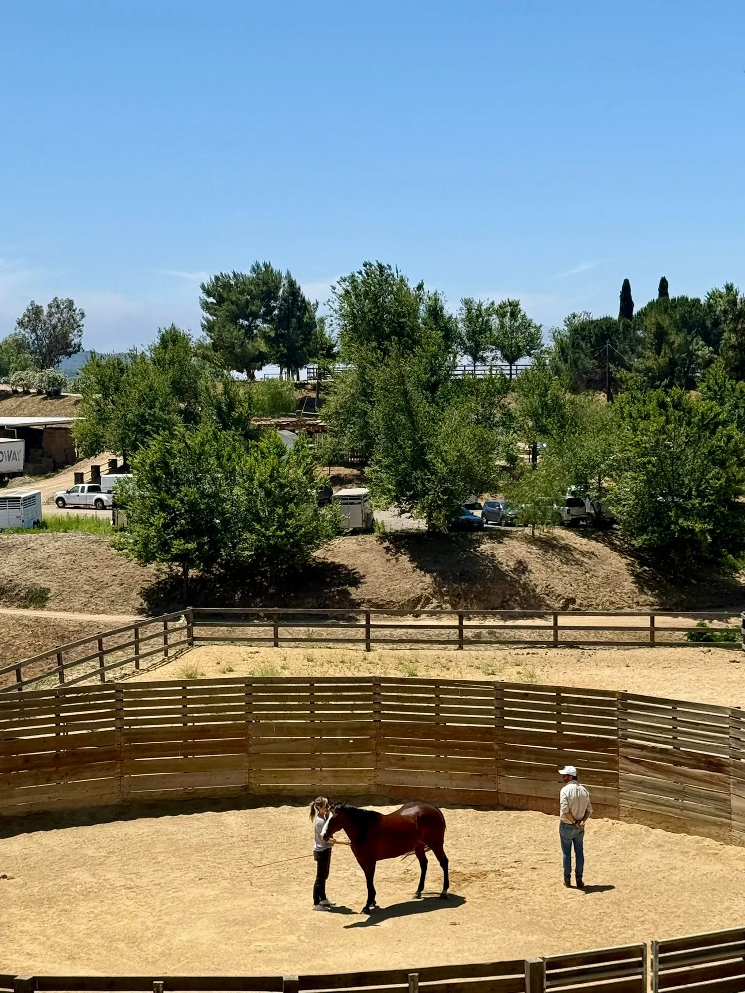 An equicoaching session 29