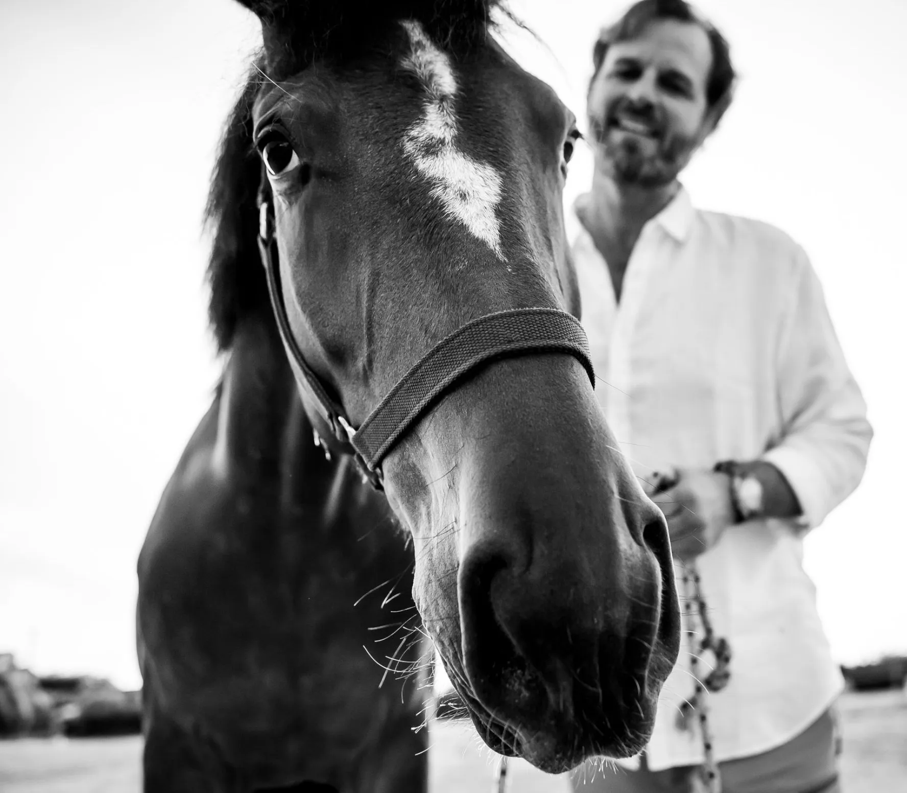 An equicoaching session 4