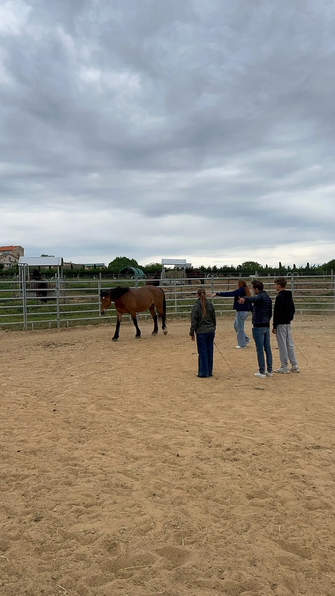 An equicoaching session 6