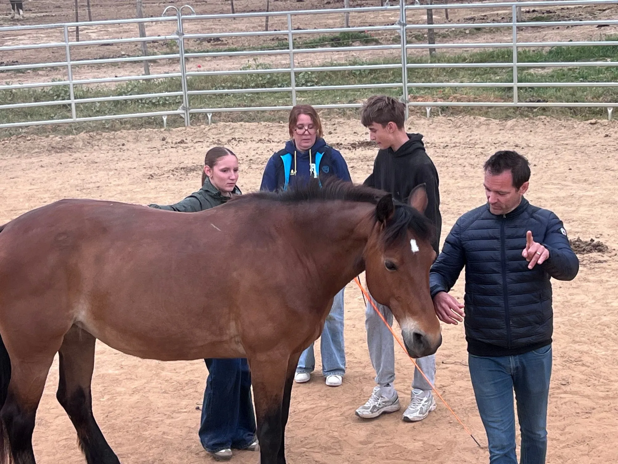 An equicoaching session 7