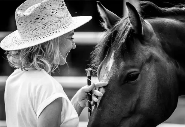 An equicoaching session 8