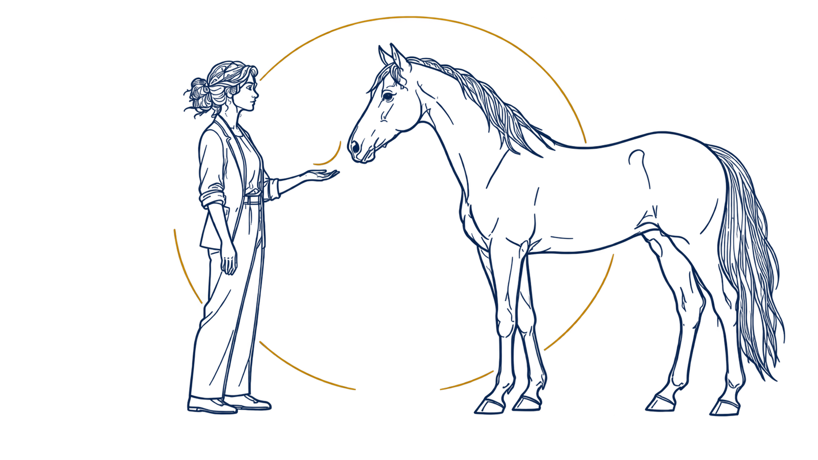 Equicoaching illustration